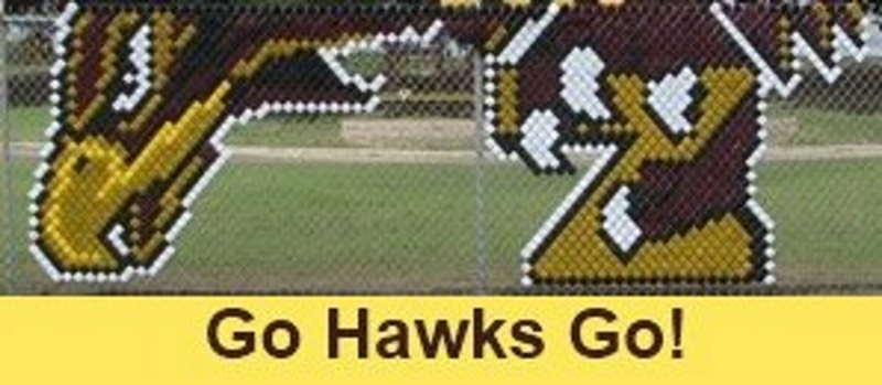go-hawks