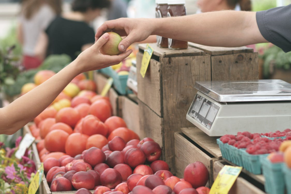 Farmers Market - Zapata, TX